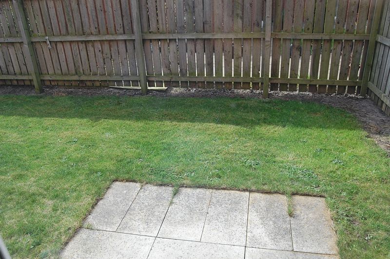 Brookfield West Allotment